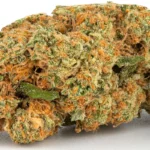 Gelato strain