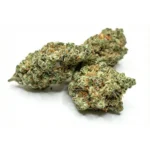 Glookies Exotic Bouquet Strain