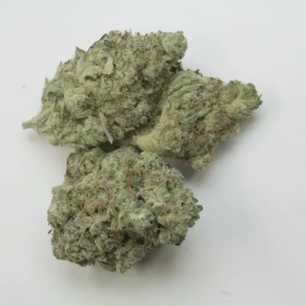 Insane OG Strain