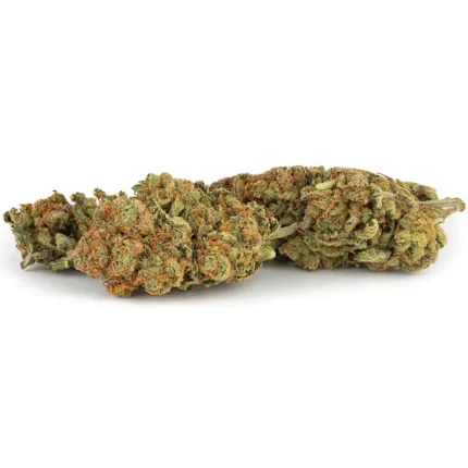 Lemon Haze Strain