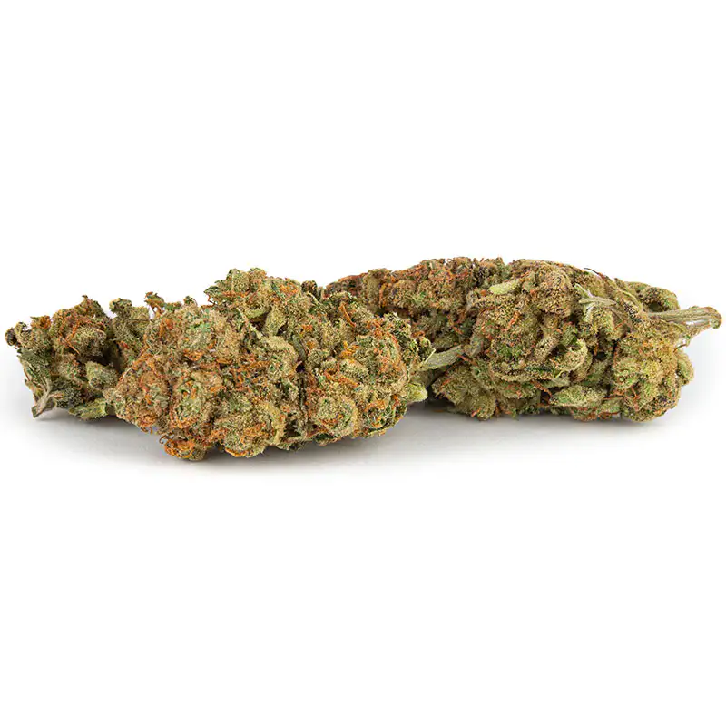 Lemon Haze Strain Lemon Haze Strain