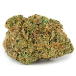 Rainbow Sherbet #11