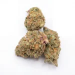 Zillion strain
