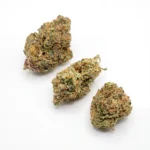 Zillion strain