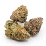 Papaya Frosting strain