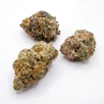 Papaya Frosting strain